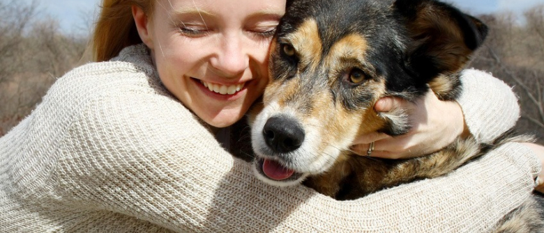 Illustration : "Adopter un chien auprès d'un particulier"