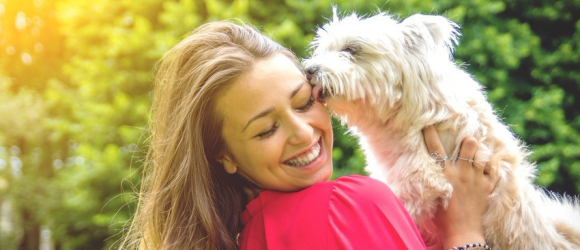 Illustration : "Les sentiments du chien"