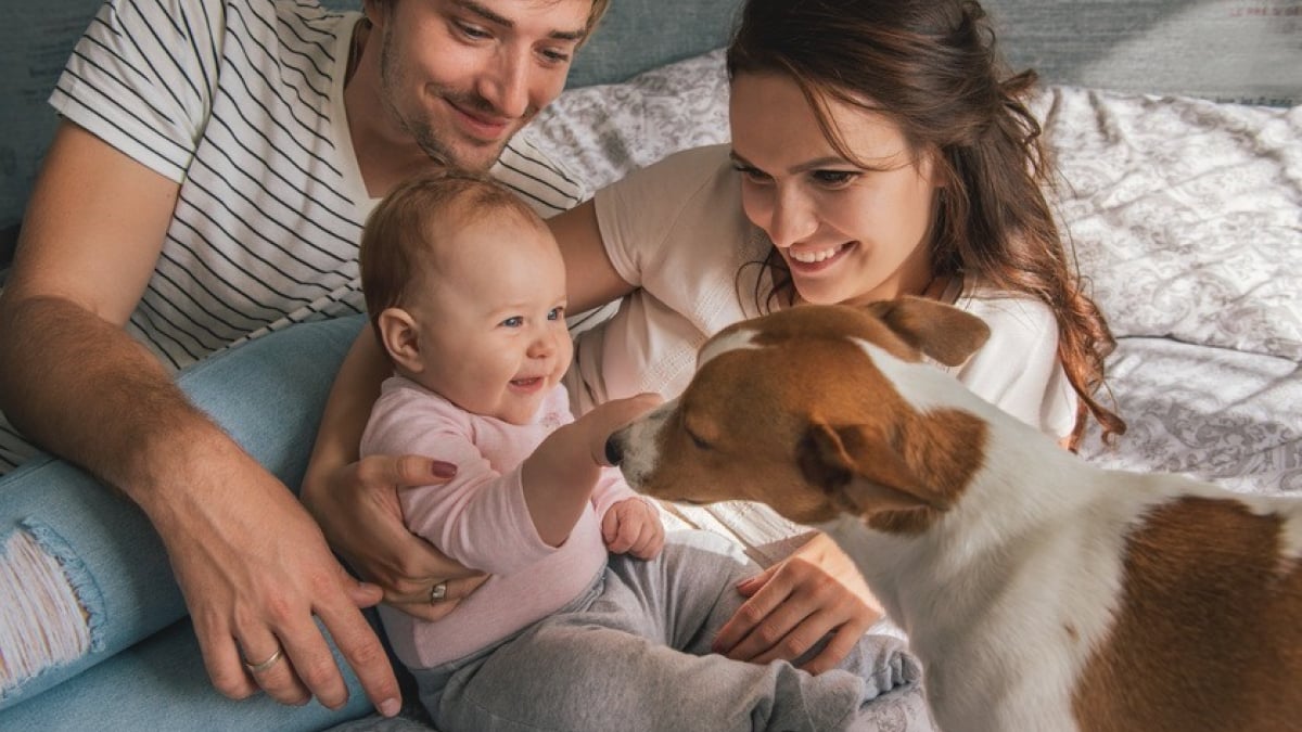 Illustration : "Préparer son chien à l’arrivée d’un nouveau-né"