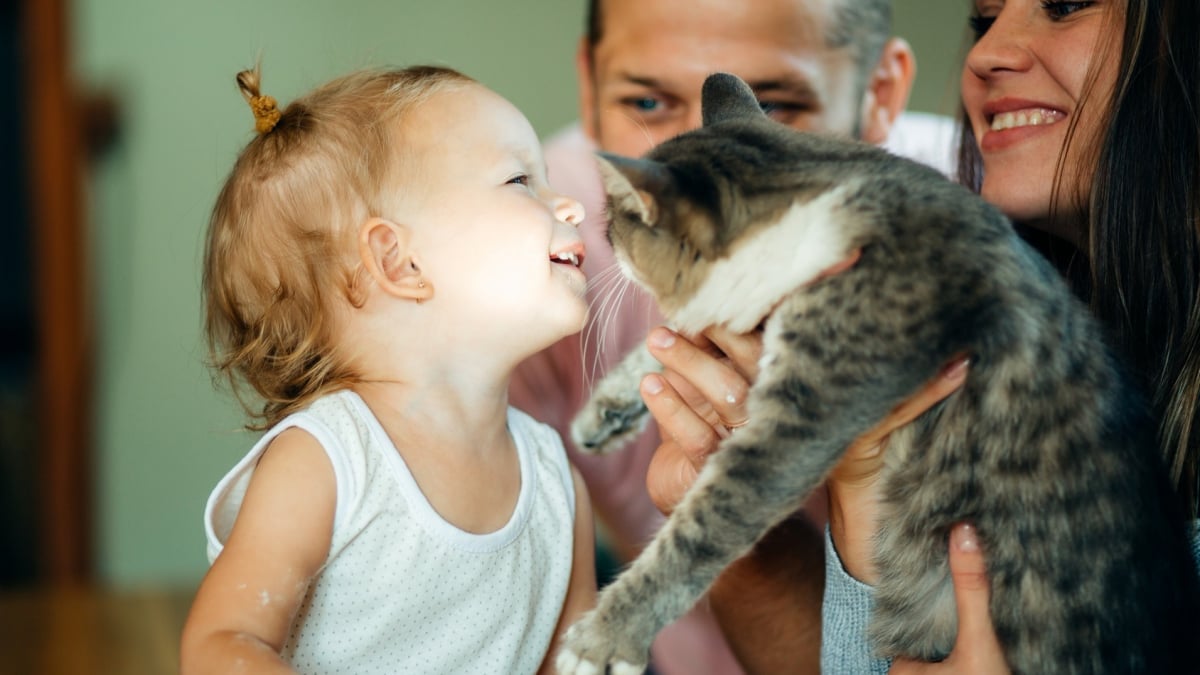 Illustration : "La cohabitation entre le chat et l'enfant"