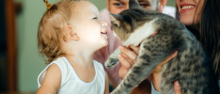 Illustration : "La cohabitation entre le chat et l'enfant"