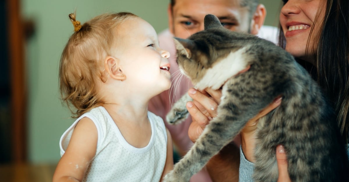 Chat et bébé : comment favoriser leur cohabitation ?