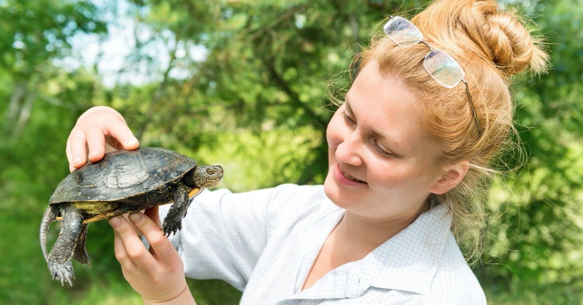Comment Apprendre A Bien Manipuler Une Tortue Comment Apprendre A Bien Manipuler Une Tortue