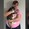 Illustration : Elle adopte un chat de 26 ans, d&eacute;laiss&eacute; par ses propri&eacute;taires