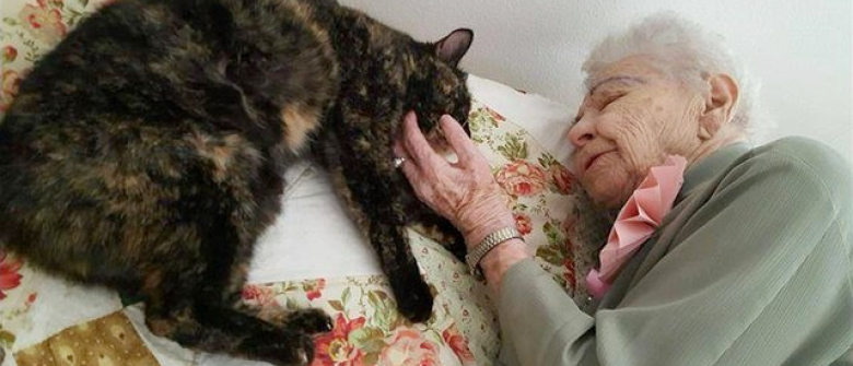 Un Chat Comme Plus Beau Cadeau Du Monde Pour Une Femme De 103 Ans Un Chat Comme Plus Beau Cadeau Du Monde Pour Une Femme De 103 Ans