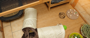 Illustration : "Les accessoires indispensables pour la cage du lapin"