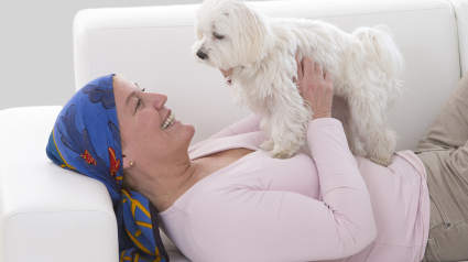 Illustration : Le dépistage du cancer du sein par les chiens avance
