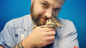 Illustration : Des chatons orphelins sauvés par un vétérinaire tombé amoureux d’eux
