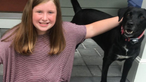 Illustration : "Une jeune fille de 12 ans a sauvé la vie d’une centaine de chiens !"