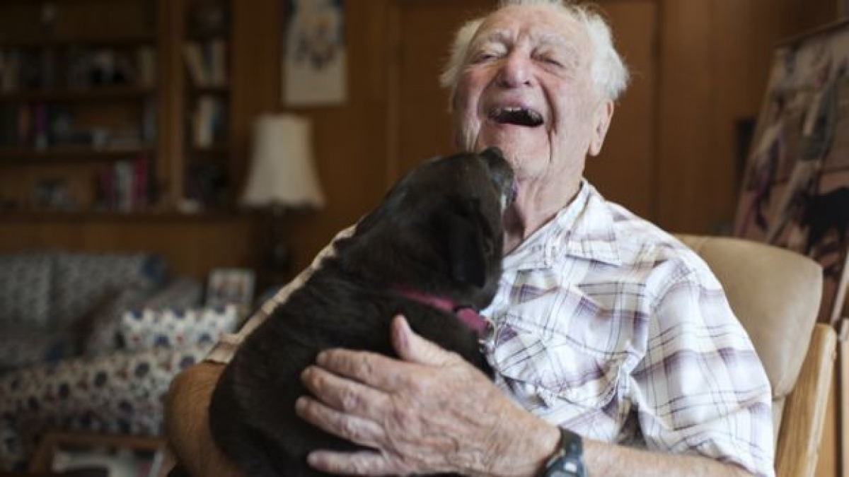 Illustration : "A 104 ans, il retrouve le sourire grâce à un nouveau chien"