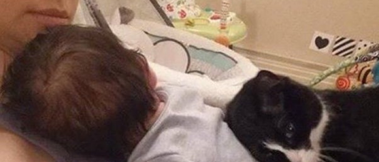 Cette Chatte Ne Peut S Empecher De Caliner Le Ventre De Sa Maitresse Enceinte Cette Chatte Ne Peut S Empecher De Caliner Le Ventre De Sa Maitresse Enceinte