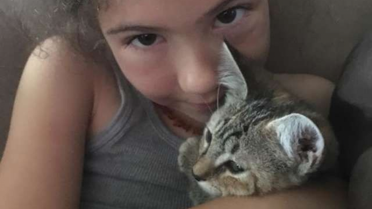 Illustration : "Cette petite fille s’est liée d’amitié avec un chaton de sauvetage et n’a pu se résoudre à le laisser être adopté "