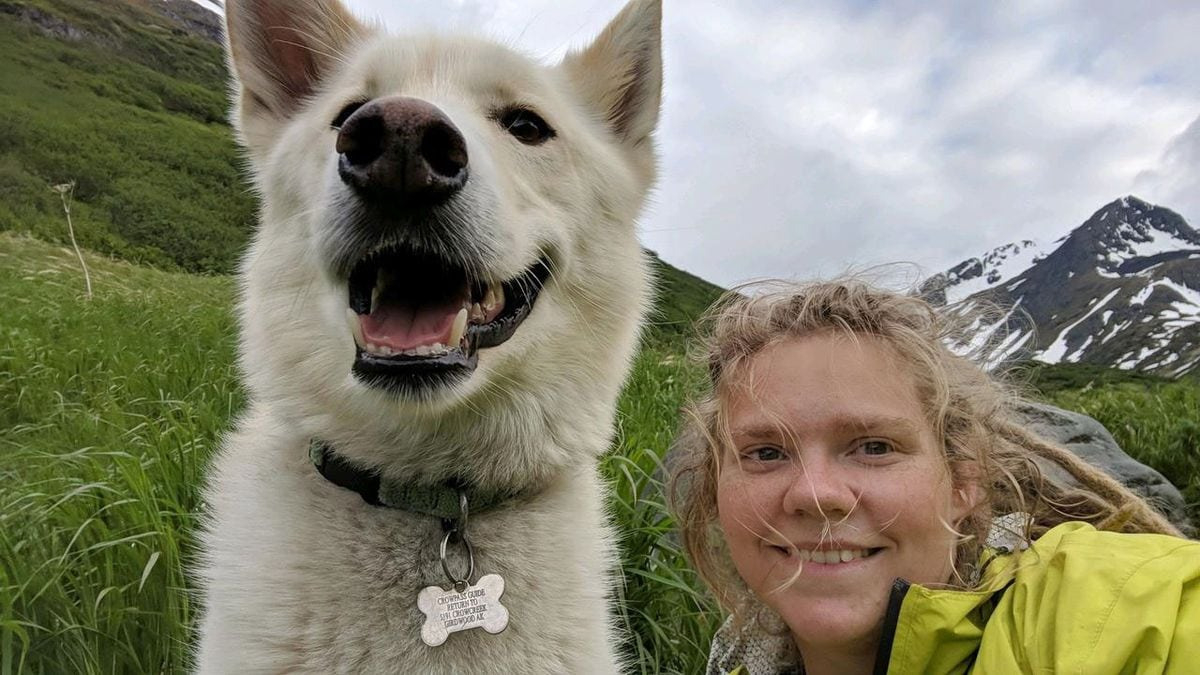 Illustration : "Un chien sauve une randonneuse blessée près d'une rivière en Alaska !"