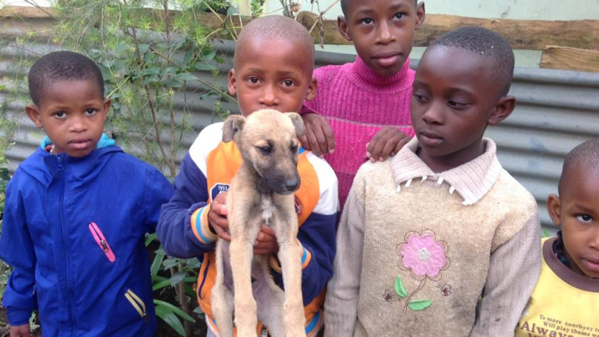 Illustration : "Un chiot sauvé par l’aide précieuse de 5 enfants !"