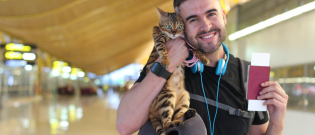 Illustration : "Comment voyager avec son chat en avion ?"