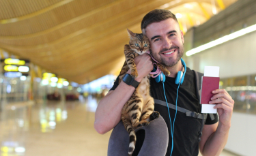Illustration : "Comment voyager avec son chat en avion ?"