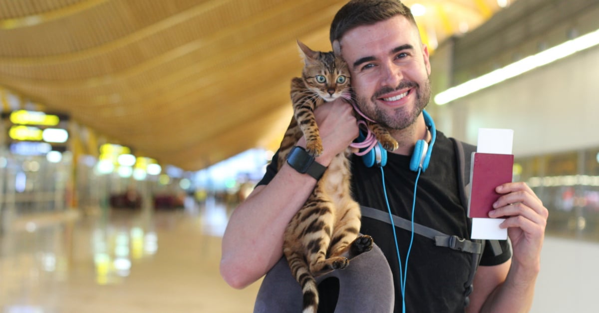 Quelle caisse de transport pour chat pour prendre l'avion