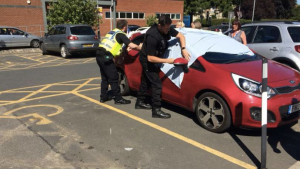 Illustration : "Enfermés dans une voiture en plein soleil, 2 chiens ont été sauvés !"