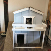 Illustration : Fou amoureux de son chaton issu d'un refuge, ce petit gar&ccedil;on lui a construit sa propre maison