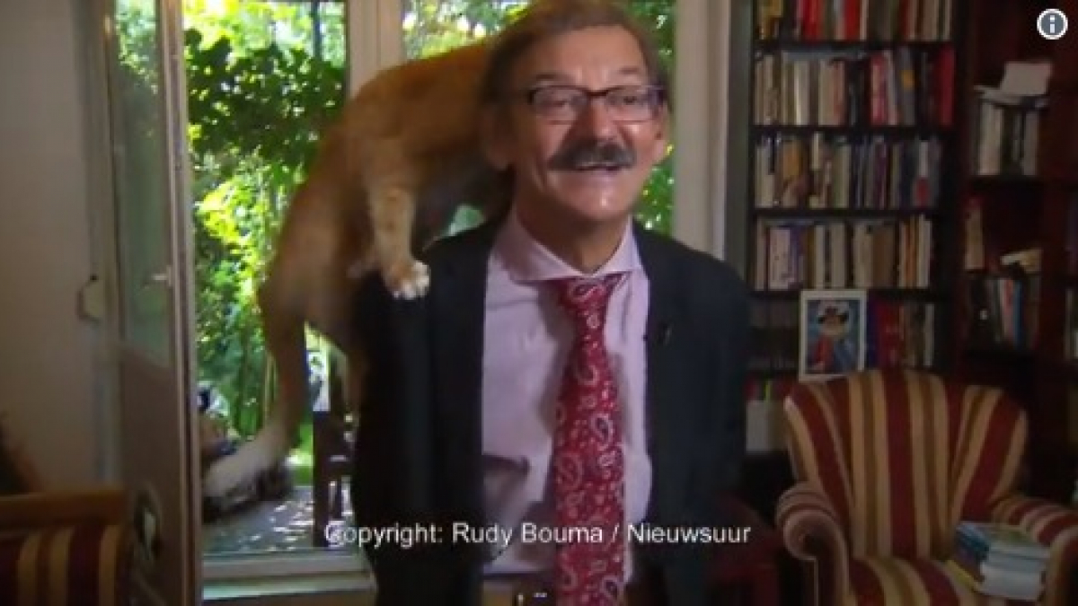 Illustration : "Un chercheur en sciences politiques donne une interview télé avec son chat sur la tête !"