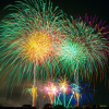 Illustration : Une ville italienne passe désormais aux feu d’artifice silencieux pour les chiens !