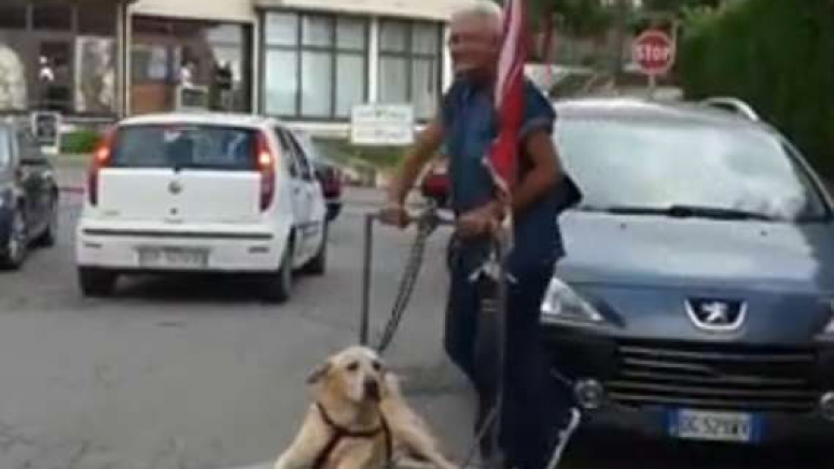 Illustration : "(Vidéo) Un homme âgé entièrement dévoué à son chien incapable de marcher"