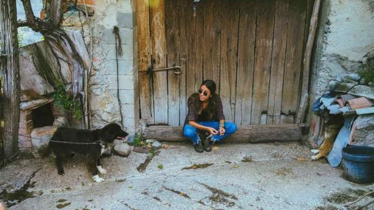 Illustration : "Durant ses vacances, cette femme est tombée nez à nez avec deux chiens enchaînés depuis des années"