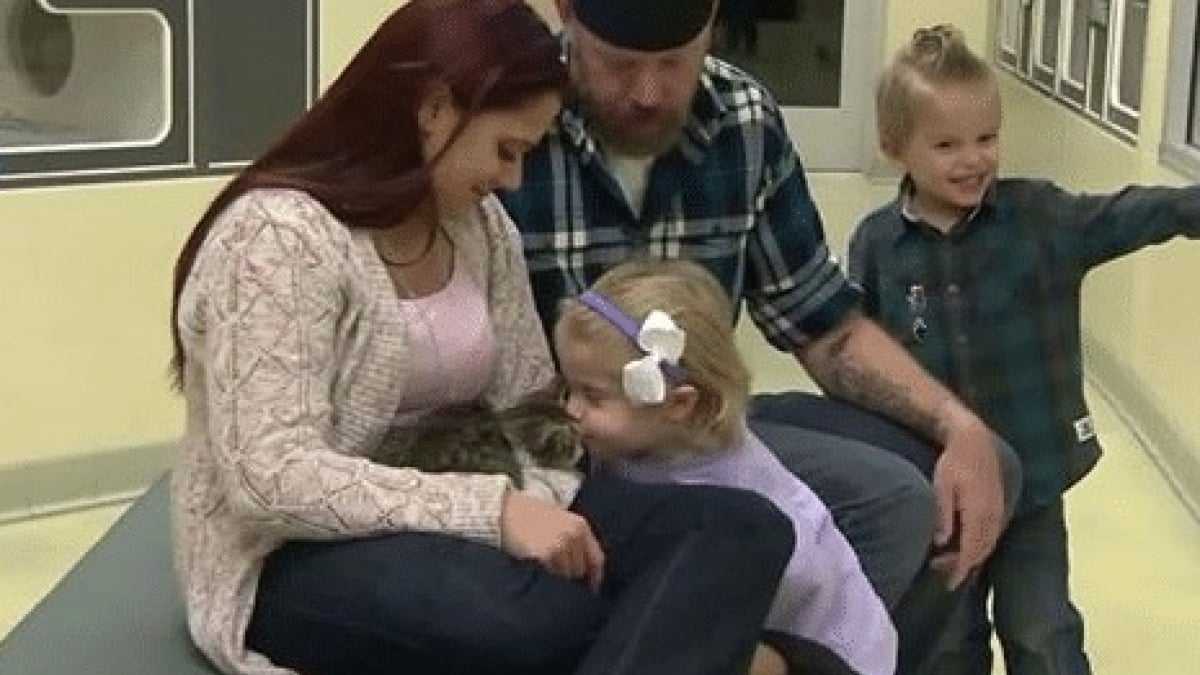 Illustration : "Une petite fille de deux ans a été amputée et va adopter un chaton à son image"