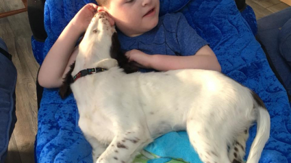 Illustration : Une mère décide d’adopter un chiot pour son fils autiste