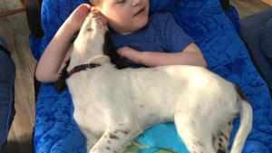 Illustration : Une mère décide d’adopter un chiot pour son fils autiste