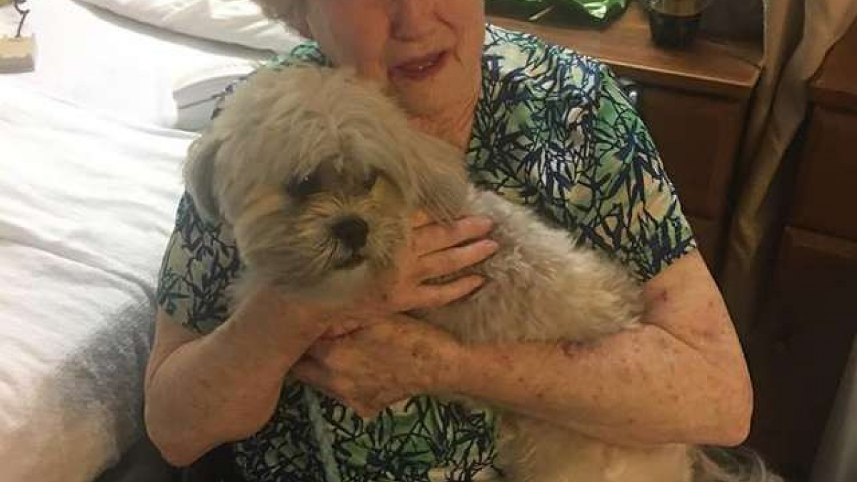 Illustration : "Une grand-mère surprise par sa famille qui lui trouve un nouveau chien"
