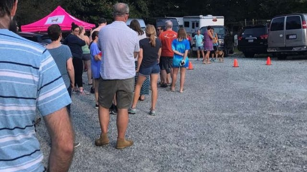 Illustration : "En Caroline du Sud les bénévoles font la queue pour récupérer les chiens du chenil durant le passage de l'ouragan Florence "