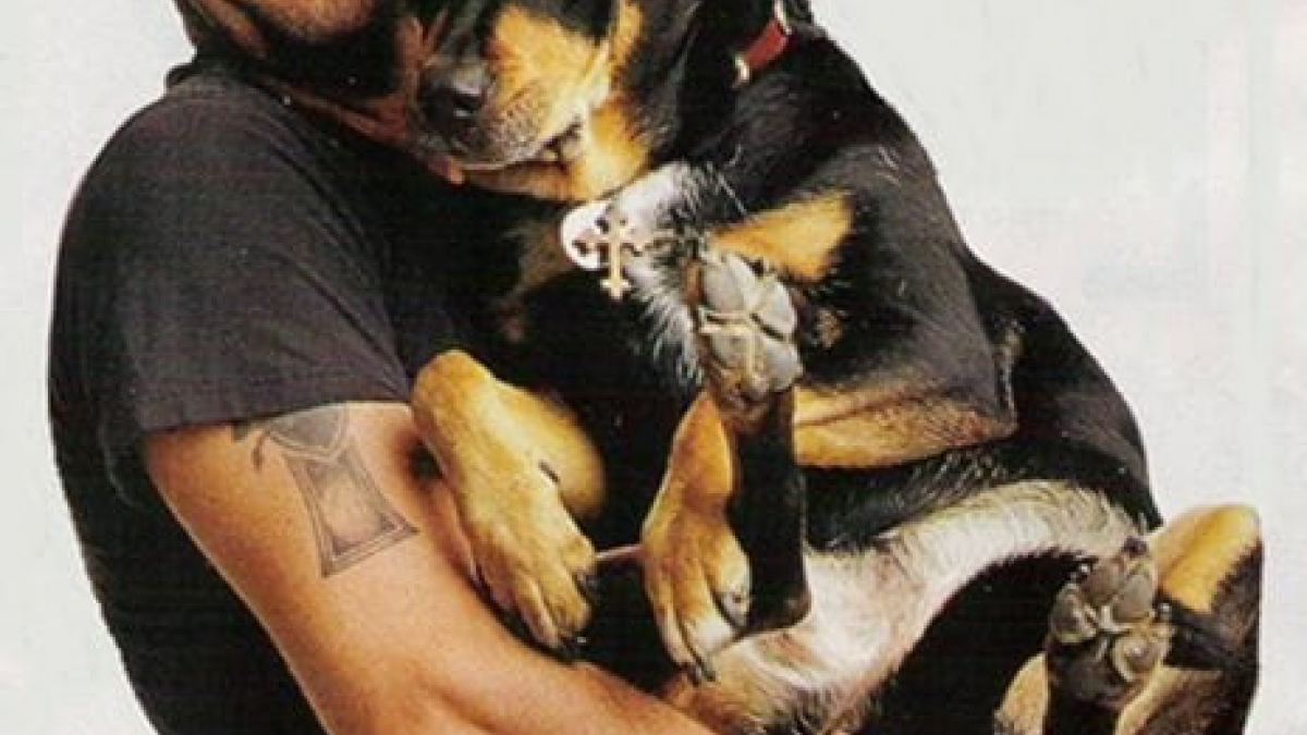 Illustration : "La belle relation entre l’acteur Jeffrey Dean Morgan et son chien Bisou"