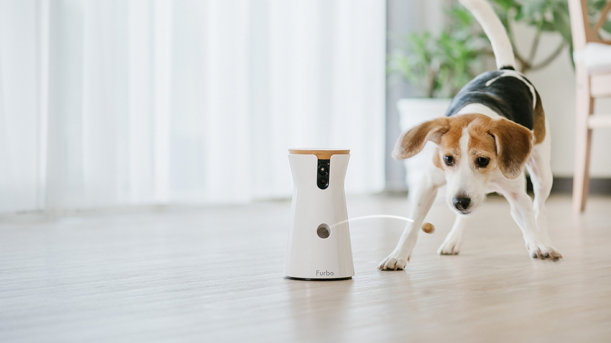 Illustration : "Woopets a testé la caméra connectée Furbo qui permet d’interagir avec son chien et envoyer des friandises à distance"