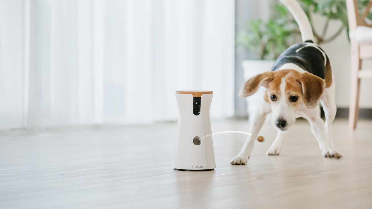 Woopets a testé la caméra connectée Furbo qui permet d'interagir