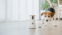 Illustration : Woopets a testé la caméra connectée Furbo qui permet d’interagir avec son chien et envoyer des friandises à distance