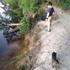Illustration : En week-end au lac avec son fils, cet homme va rentrer chez lui avec une chatte et des chatons errants