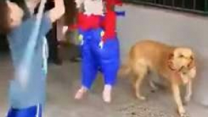 Illustration : Un chien vient en aide à son jeune maître luttant contre une piñata (vidéo)