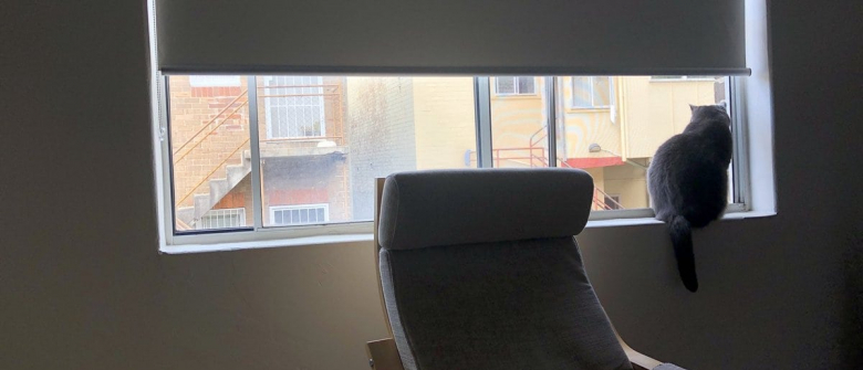 Un Chat Sourd Disparait Et Se Retrouve Coince En Haut D Une Cage A Escalier