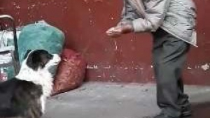 Illustration : Un homme abreuve un chien errant et devient un héros pour les internautes (vidéo)