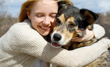 Illustration : "Accueillir un chien adulte"