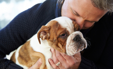 Illustration : "Choisir un chien mâle"