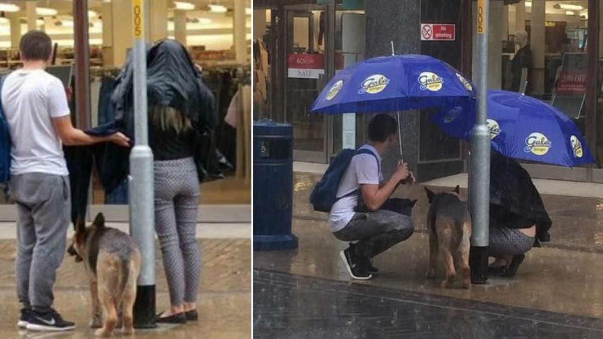 Illustration : " Le beau geste d’un couple envers un Berger Allemand qui ne peut se protéger de la pluie"