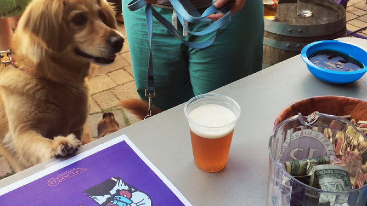 Illustration : "Les chiens ont désormais droit à leur propre bière"