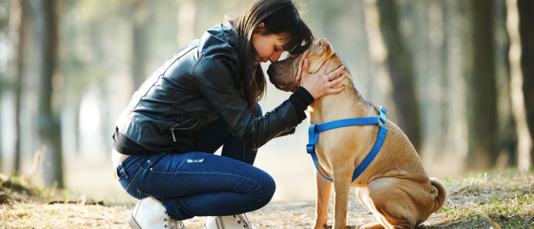 Illustration : "Choisir un chien femelle"