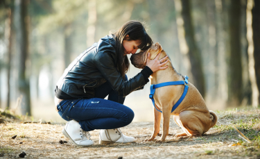 Illustration : "Choisir un chien femelle"