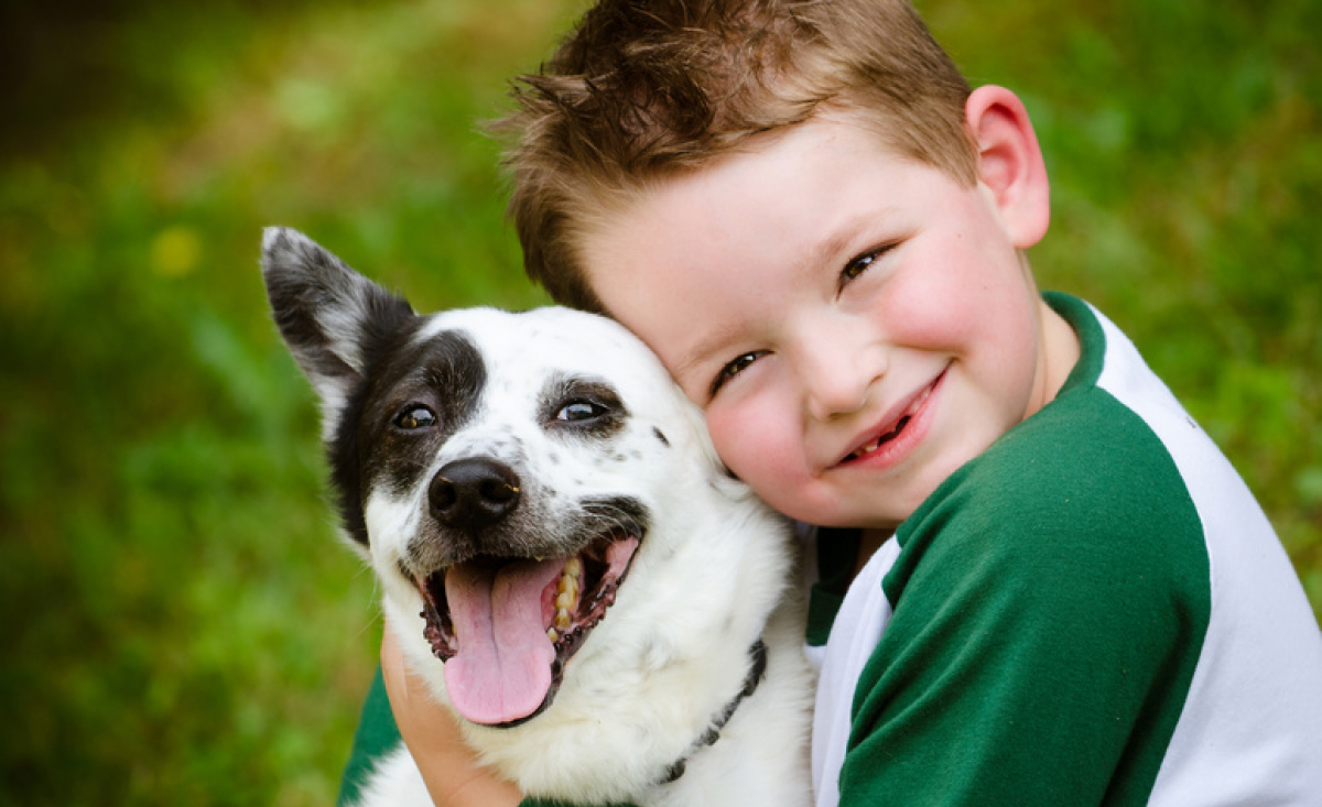 Illustration : "Les relations entre l'enfant et le chien"