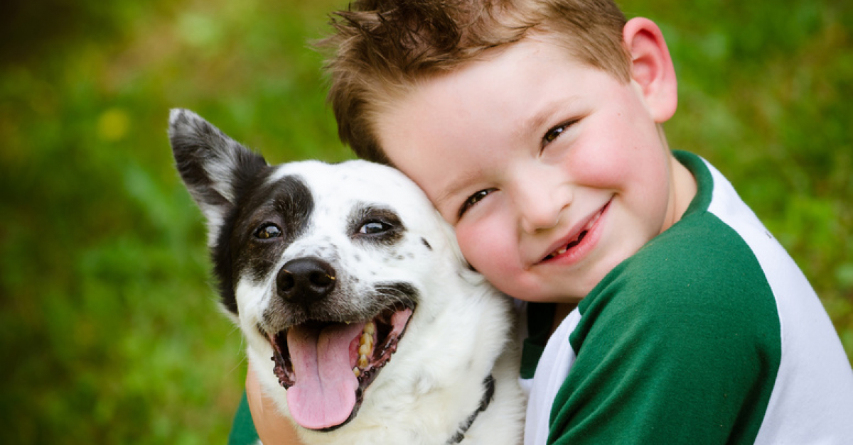 Les Relations Entre L Enfant Et Le Chien Construire Des Bases Saines