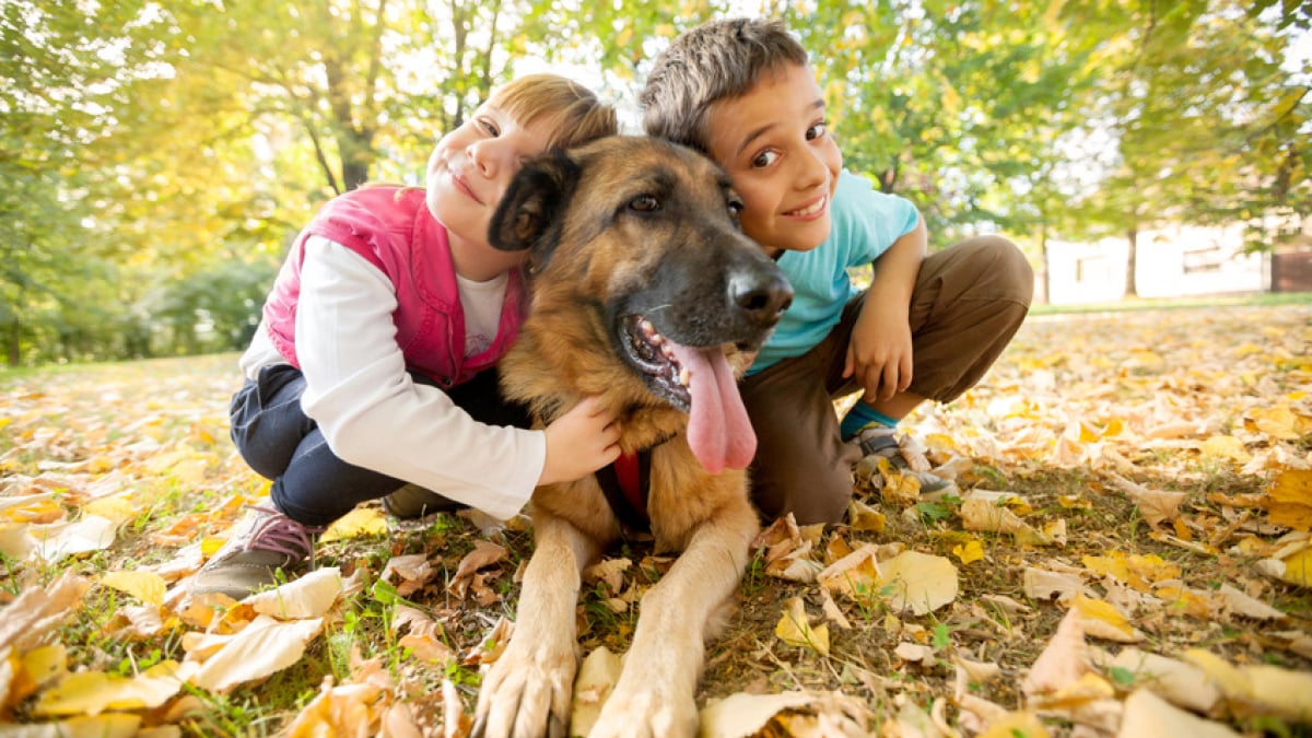 Illustration : "Choisir un chien pour son enfant"