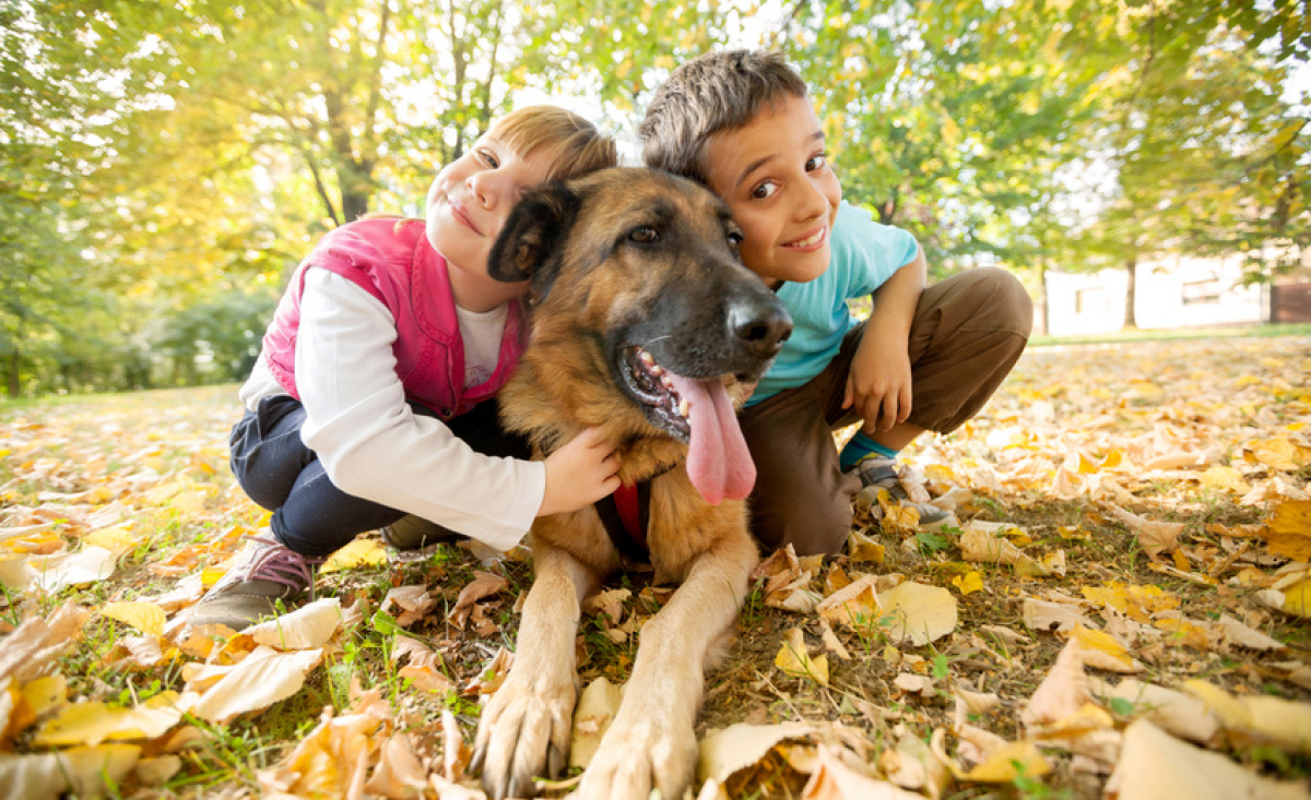 Illustration : "Choisir un chien pour son enfant"